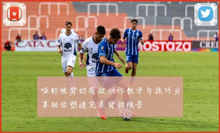 哑铃练背的有效动作教学与技巧分享助你塑造完美背部线条